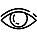 opoluce icono evisceracion ocular