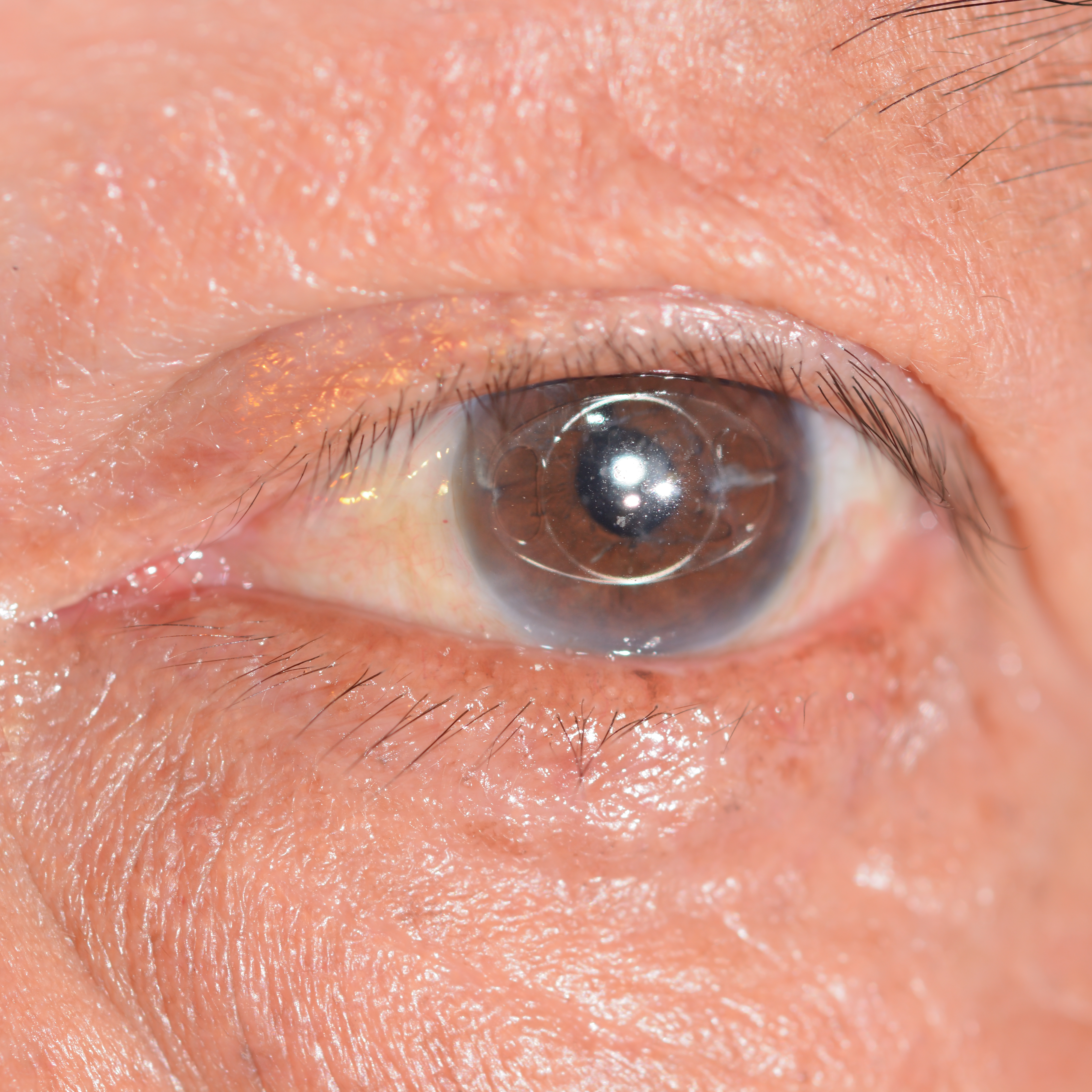shutterstock 208744051